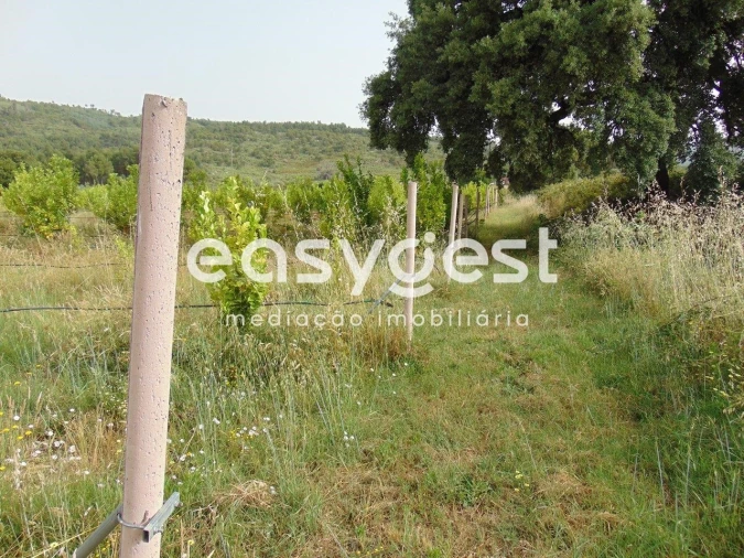 Quinta para Venda em São Vicente da Beira Foto 43