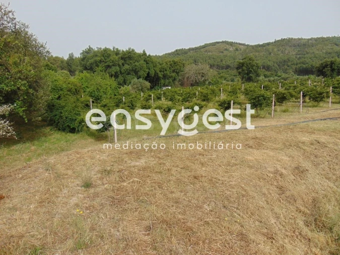 Quinta para Venda em São Vicente da Beira Foto 45