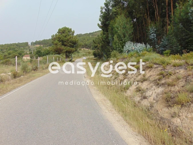 Quinta para Venda em São Vicente da Beira Foto 48