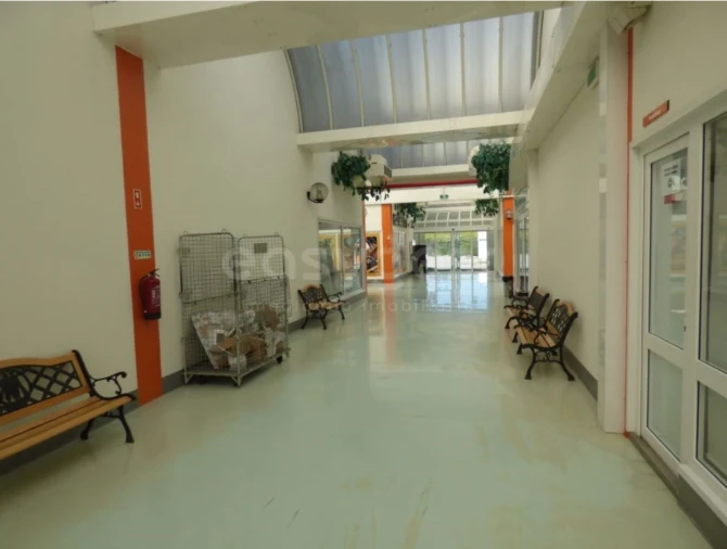 Loja para Venda em Colmeias e Memória Foto 2