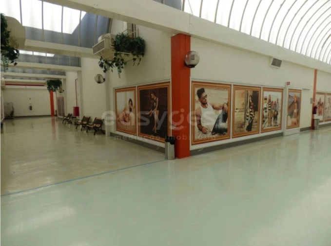 Loja para Venda em Colmeias e Memória Foto 5