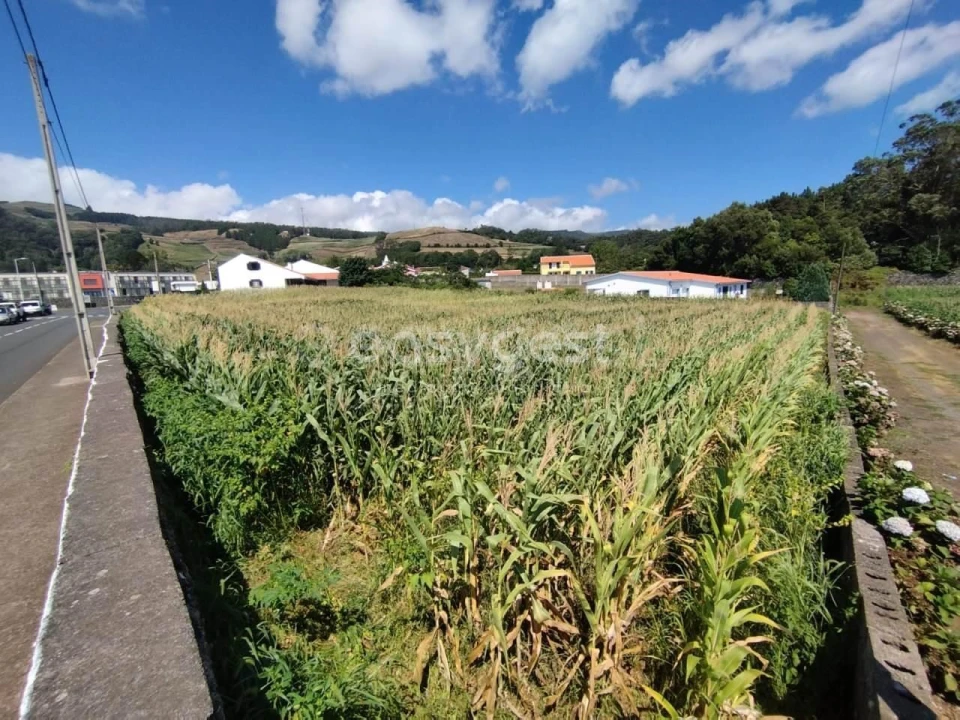 Terreno Agricola ou Rústico para Venda em Angra (São Pedro) Foto 10
