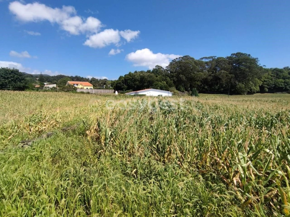 Terreno Agricola ou Rústico para Venda em Angra (São Pedro) Foto 12
