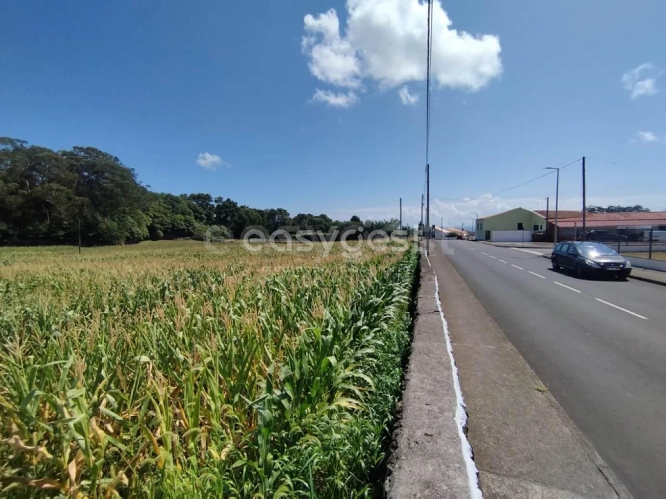Terreno Agricola ou Rústico para Venda em Angra (São Pedro) Foto 14