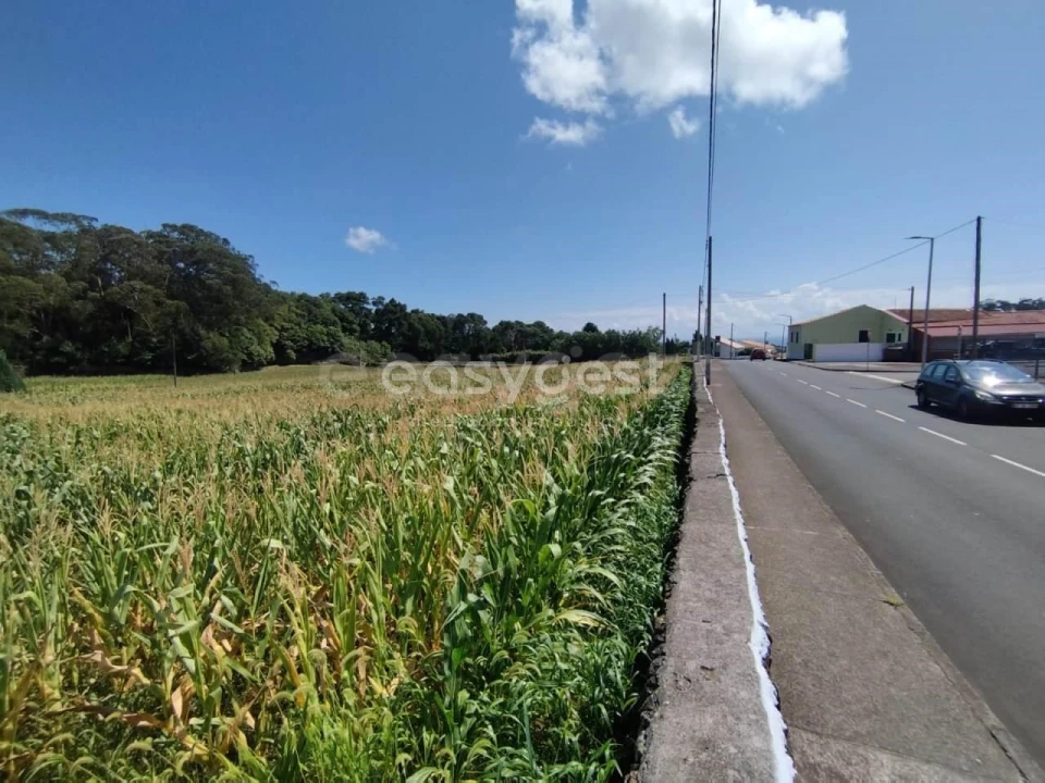 Terreno Agricola ou Rústico para Venda em Angra (São Pedro) Foto 16