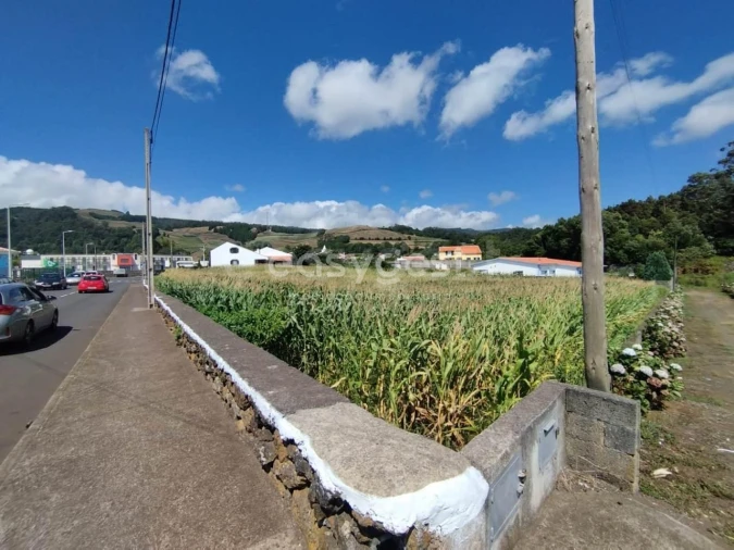 Terreno Agricola ou Rústico para Venda em Angra (São Pedro) Foto 11