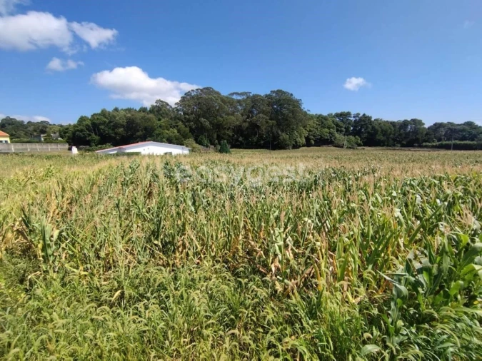 Terreno Agricola ou Rústico para Venda em Angra (São Pedro) Foto 13