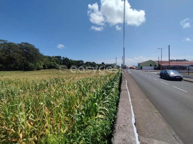 Terreno Agricola ou Rústico para Venda em Angra (São Pedro) Foto 14