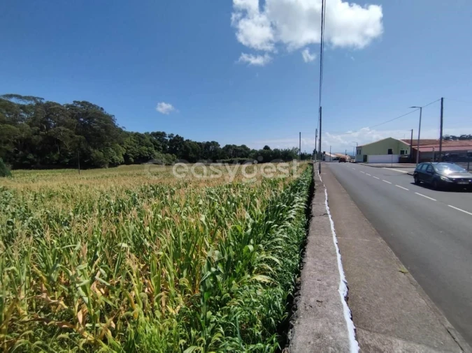 Terreno Agricola ou Rústico para Venda em Angra (São Pedro) Foto 16