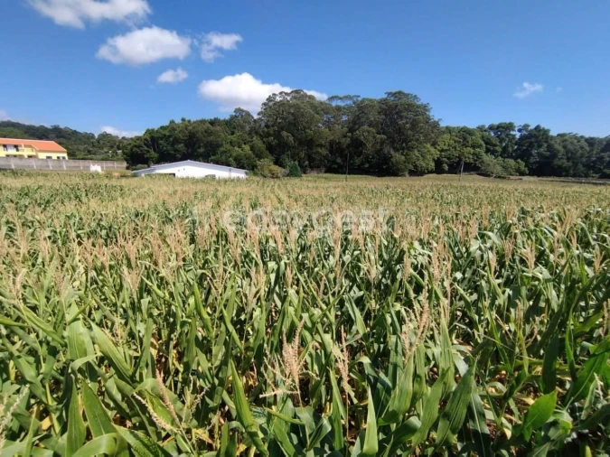 Terreno Agricola ou Rústico para Venda em Angra (São Pedro) Foto 17