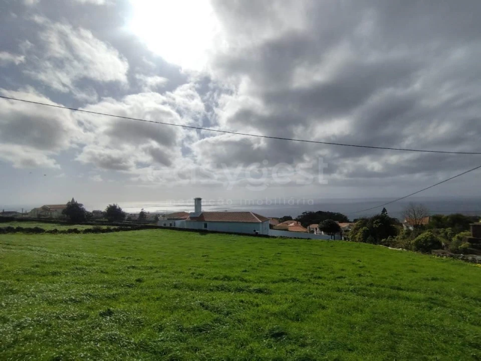 Terreno Agricola ou Rústico para Venda em Doze Ribeiras Foto 10