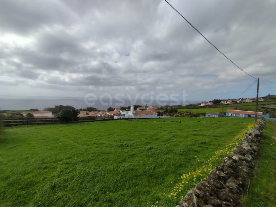 Terreno Agricola ou Rústico para Venda em Doze Ribeiras Foto 11