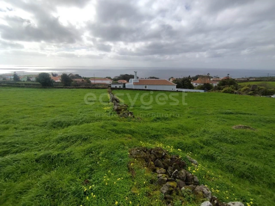 Terreno Agricola ou Rústico para Venda em Doze Ribeiras Foto 17