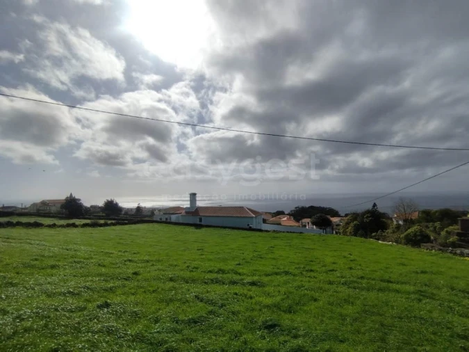 Terreno Agricola ou Rústico para Venda em Doze Ribeiras Foto 10