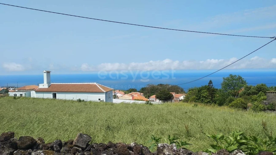 Terreno Agricola ou Rústico para Venda em Doze Ribeiras Foto 1