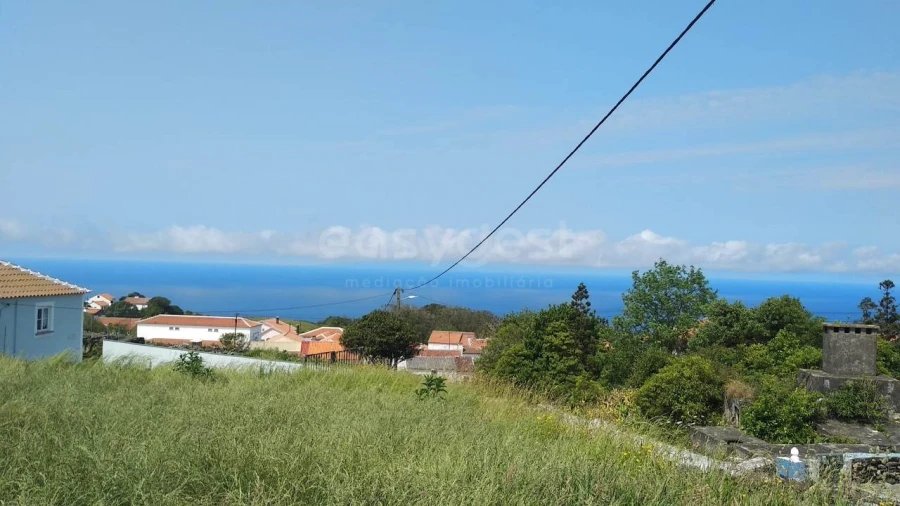 Terreno Agricola ou Rústico para Venda em Doze Ribeiras Foto 2