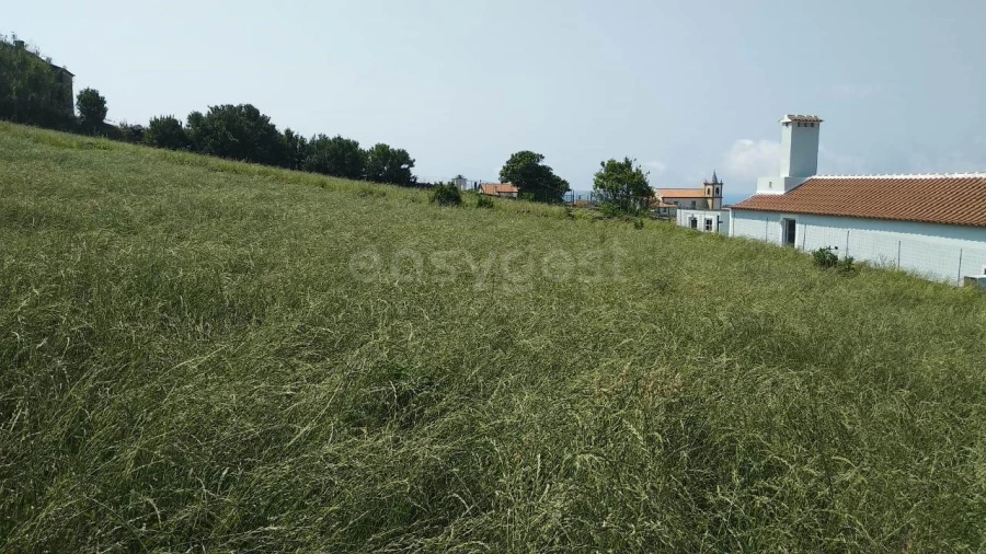Terreno Agricola ou Rústico para Venda em Doze Ribeiras Foto 6