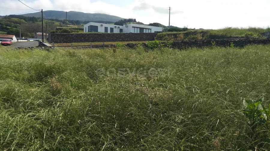 Terreno Agricola ou Rústico para Venda em Doze Ribeiras Foto 7
