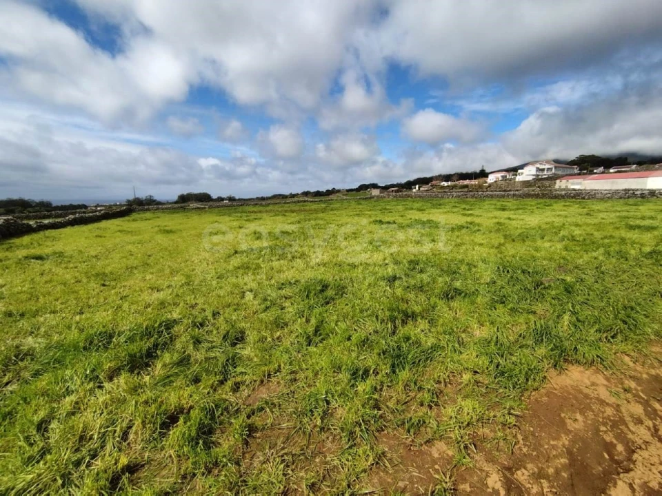 Terreno Agricola ou Rústico para Venda em São Mateus da Calheta Foto 5