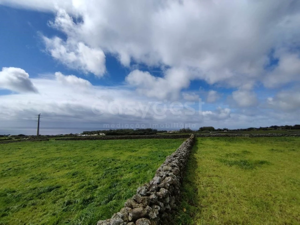 Terreno Agricola ou Rústico para Venda em São Mateus da Calheta Foto 7