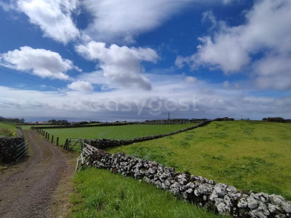 Terreno Agricola ou Rústico para Venda em São Mateus da Calheta Foto 16