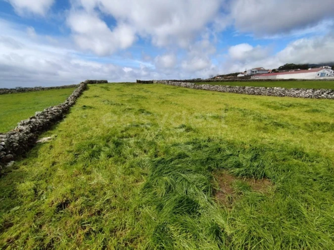 Terreno Agricola ou Rústico para Venda em São Mateus da Calheta Foto 3