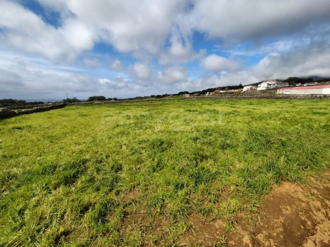 Terreno Agricola ou Rústico para Venda em São Mateus da Calheta Foto 5