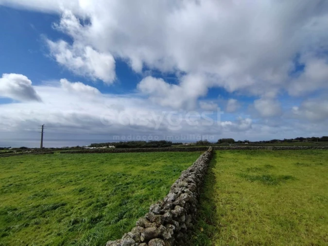 Terreno Agricola ou Rústico para Venda em São Mateus da Calheta Foto 7