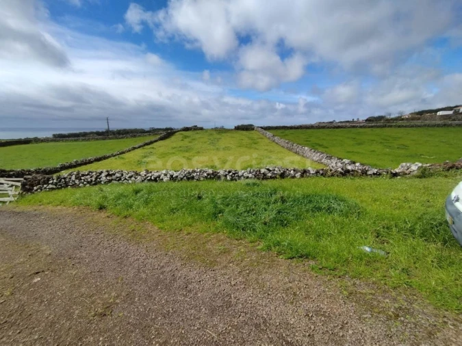 Terreno Agricola ou Rústico para Venda em São Mateus da Calheta Foto 9