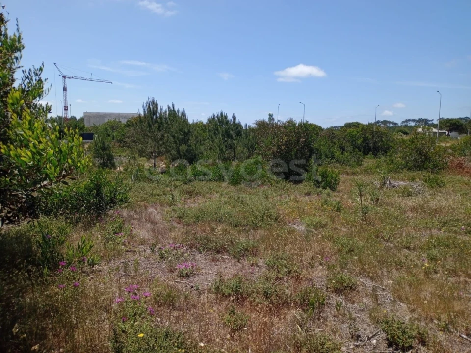 Terreno para Venda em Pataias e Martingança Foto 1