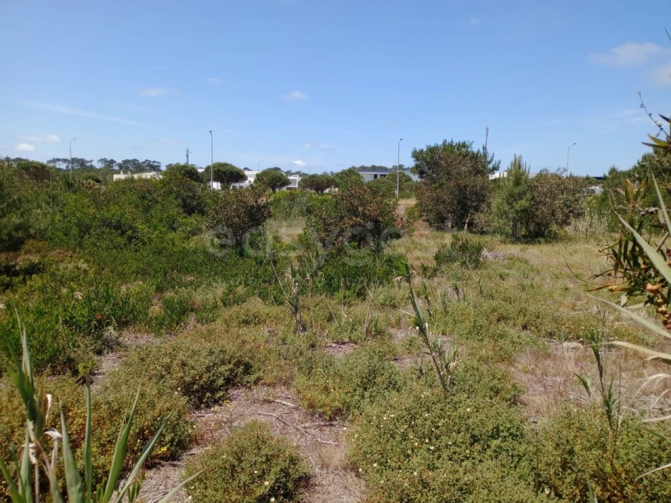 Terreno para Venda em Pataias e Martingança Foto 3