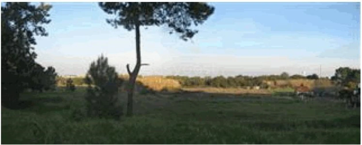 Terreno para Venda em Santo Antonio da Charneca