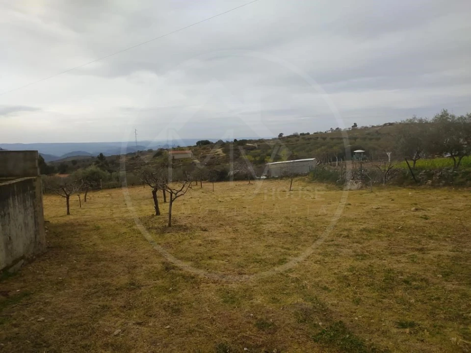 Moradia T3 para Venda em Vilas Boas e Vilarinho das Azenhas Foto 25