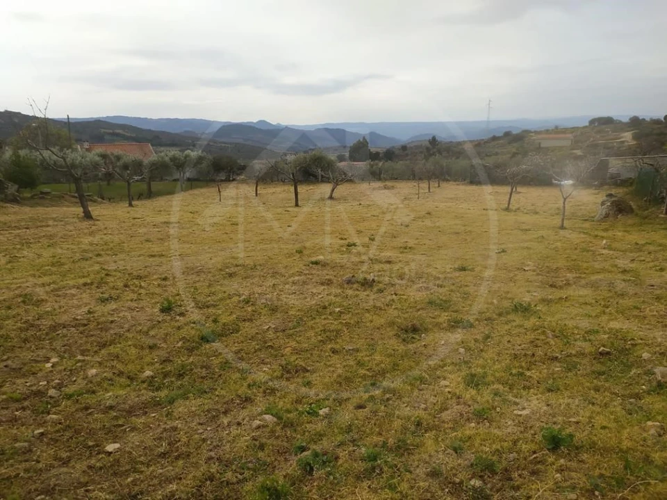 Moradia T3 para Venda em Vilas Boas e Vilarinho das Azenhas Foto 34
