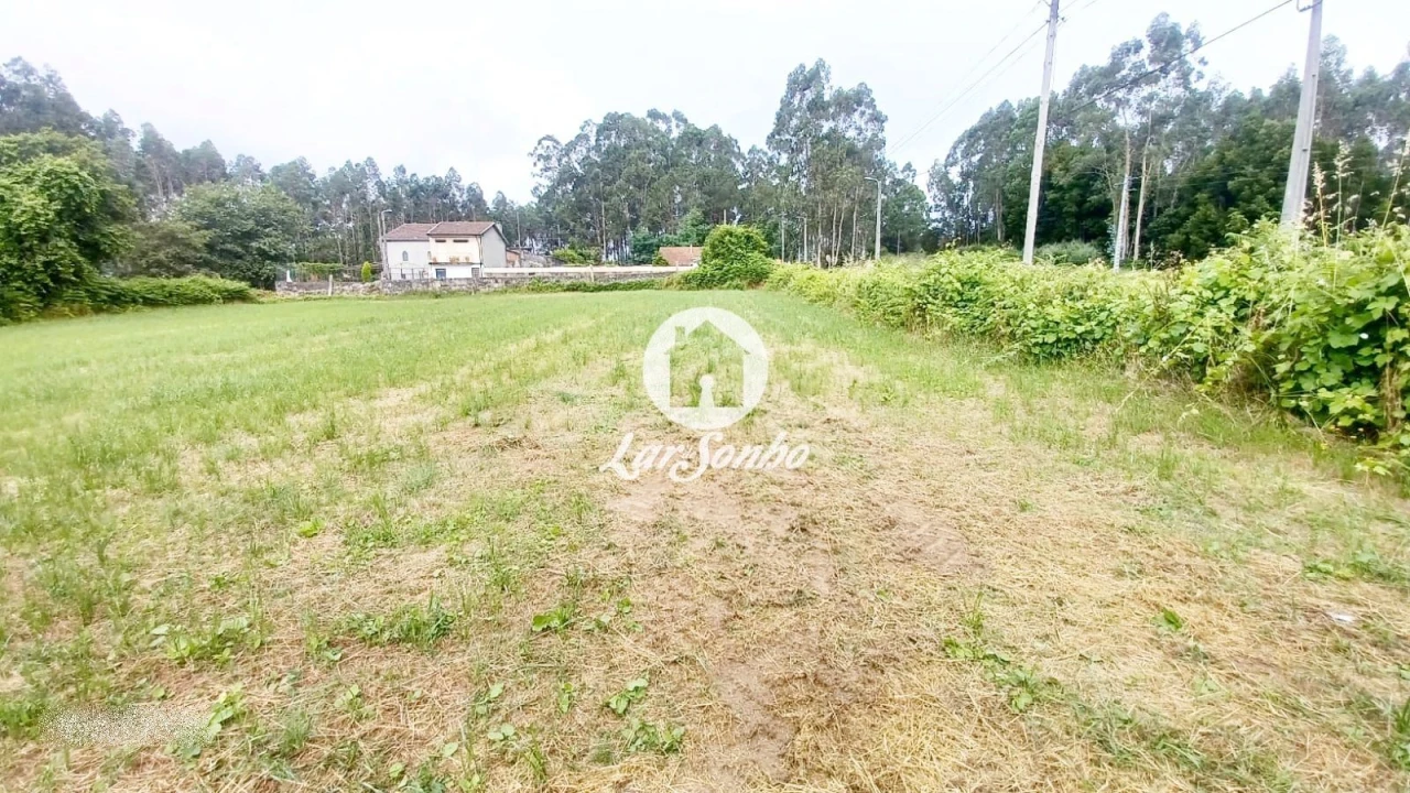 Terreno para Venda em São Pedro Fins Foto 5