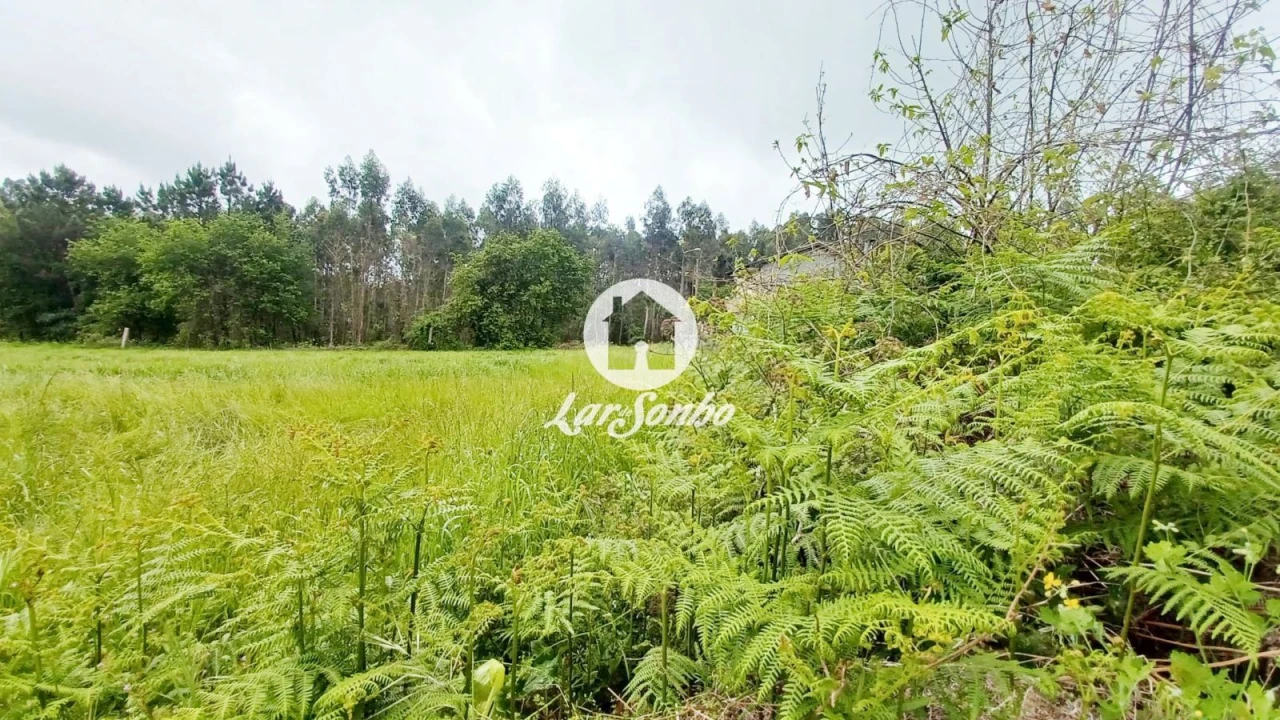 Terreno para Venda em São Pedro Fins Foto 7