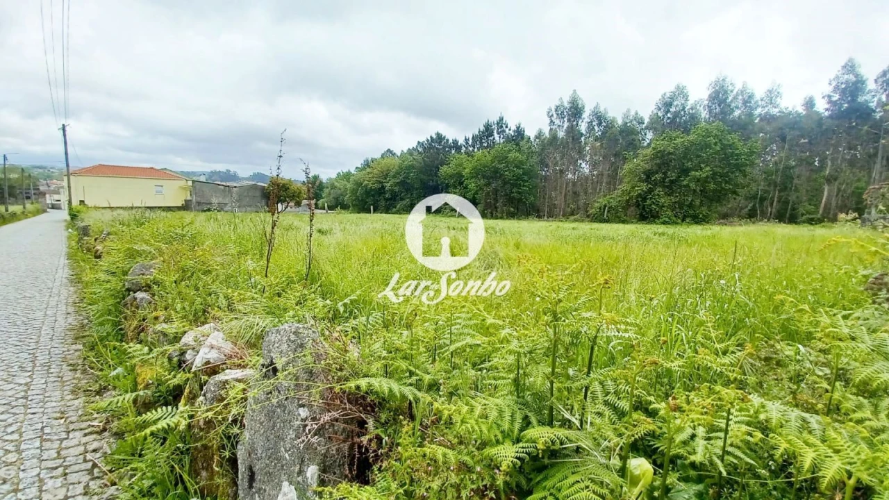 Terreno para Venda em São Pedro Fins Foto 8