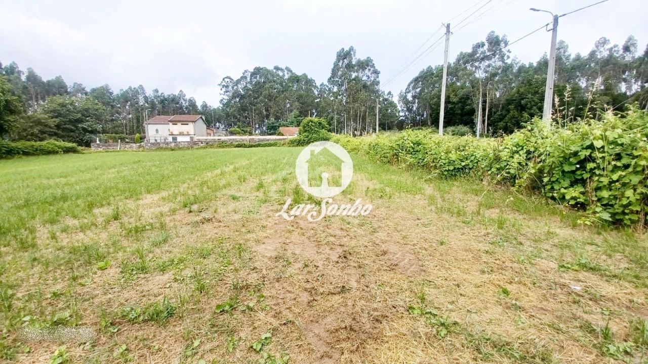 Terreno para Venda em São Pedro Fins Foto 9