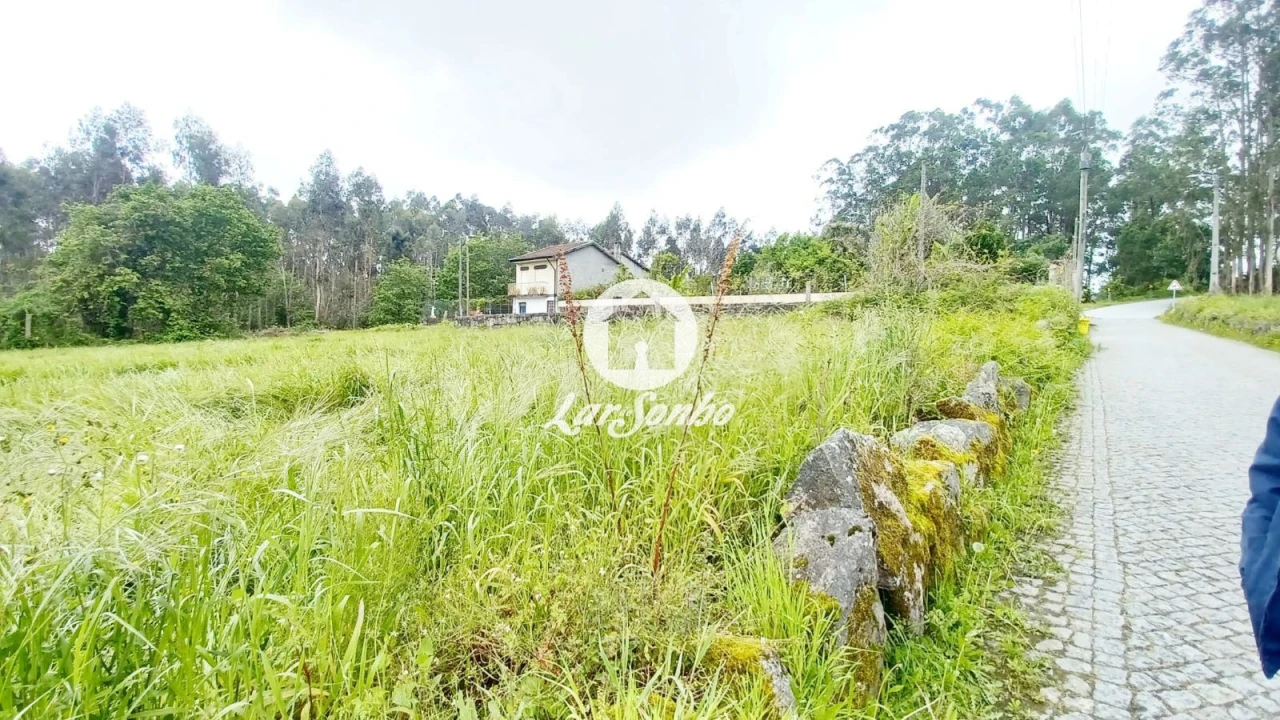 Terreno para Venda em São Pedro Fins Foto 11