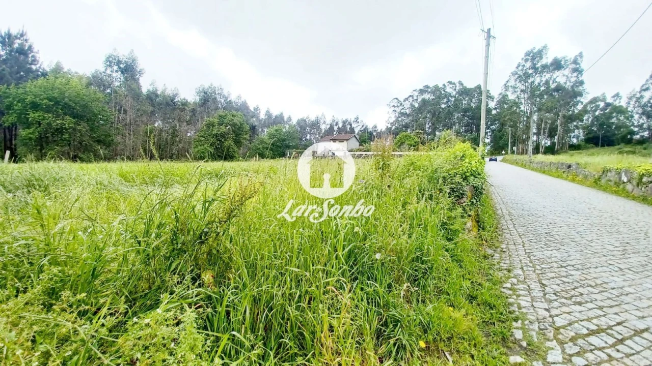 Terreno para Venda em São Pedro Fins Foto 13