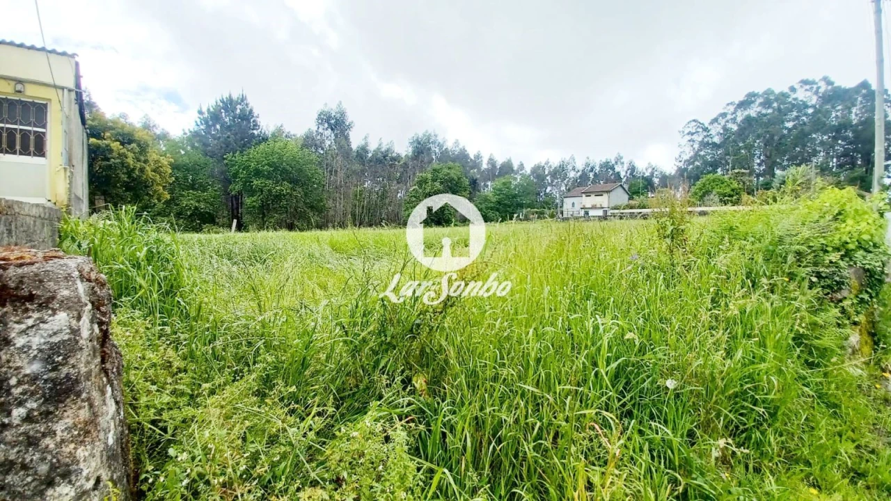 Terreno para Venda em São Pedro Fins Foto 14