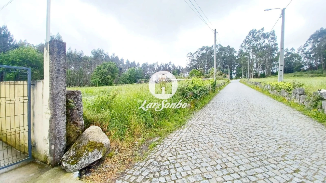 Terreno para Venda em São Pedro Fins Foto 15