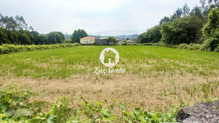 Terreno para Venda em São Pedro Fins Foto 4