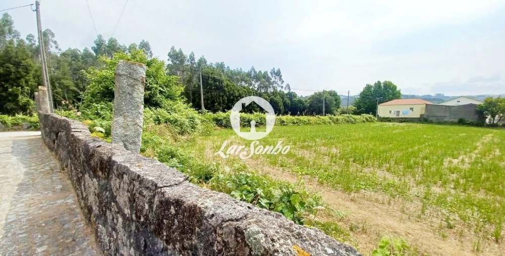 Terreno para Venda em São Pedro Fins Foto 3