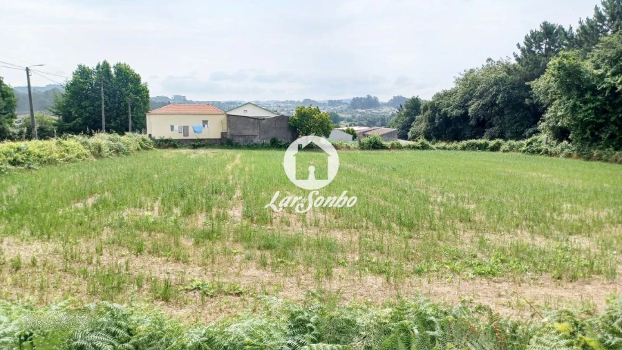 Terreno para Venda em São Pedro Fins Foto 6