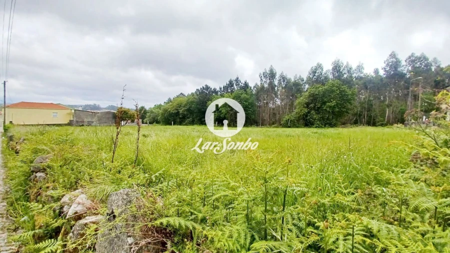 Terreno para Venda em São Pedro Fins Foto 10