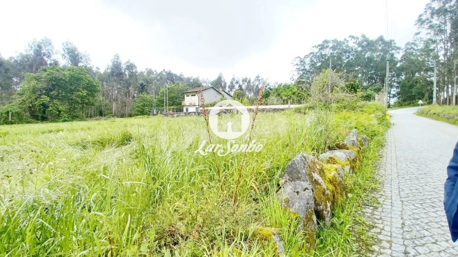 Terreno para Venda em São Pedro Fins Foto 11