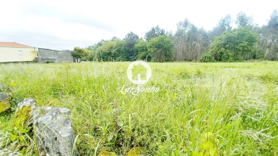 Terreno para Venda em São Pedro Fins Foto 12