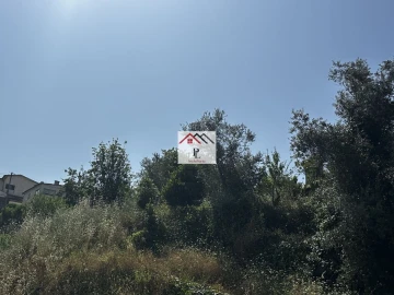 Terreno para Venda em Santo Antonio dos Olivais