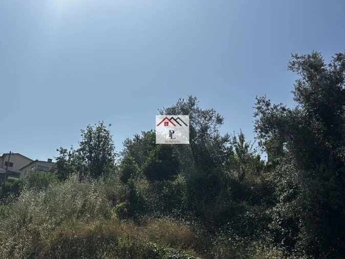 Terreno para Venda em Santo Antonio dos Olivais Foto 2